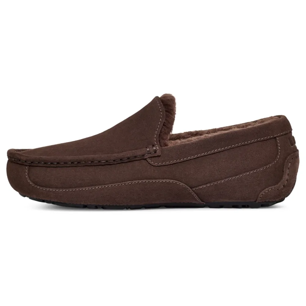 Heren UGG Pantoffels^Ascot Pantoffels Dusted Cocoa