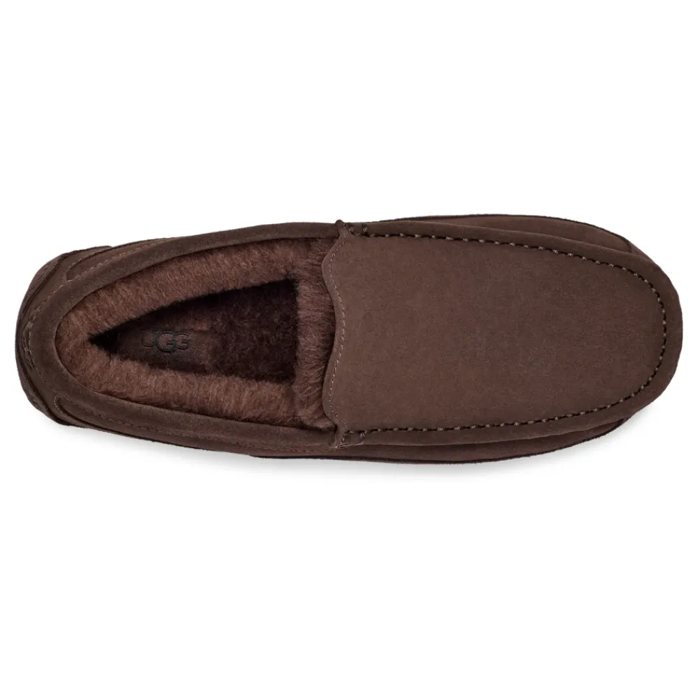 Heren UGG Pantoffels^Ascot Pantoffels Dusted Cocoa