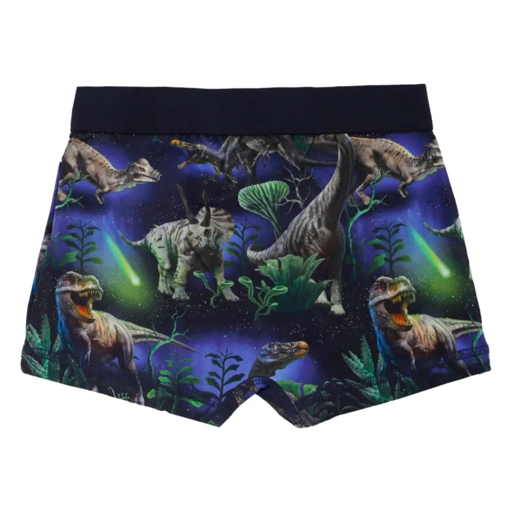 Molo e Dinosaurus Boxershorts Set