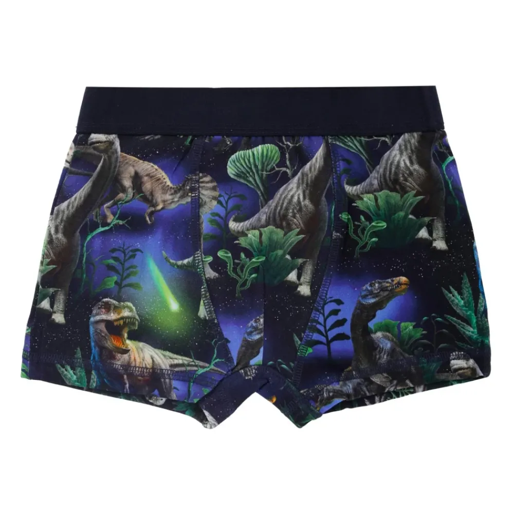 Molo e Dinosaurus Boxershorts Set