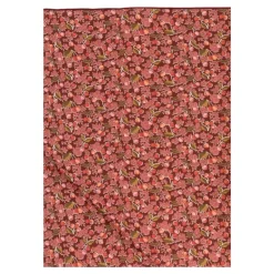 Bonpoint Cayati sjaal