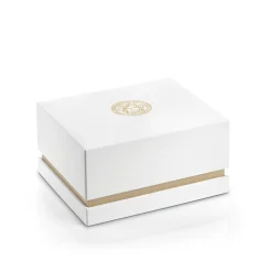 Heren Versace Horloges^Chronograph Staal Armband Grijs Brons Horloge