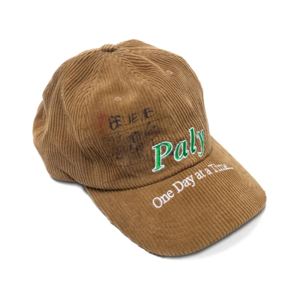 Heren Paly Hollywood Confessions Low Profile Hat