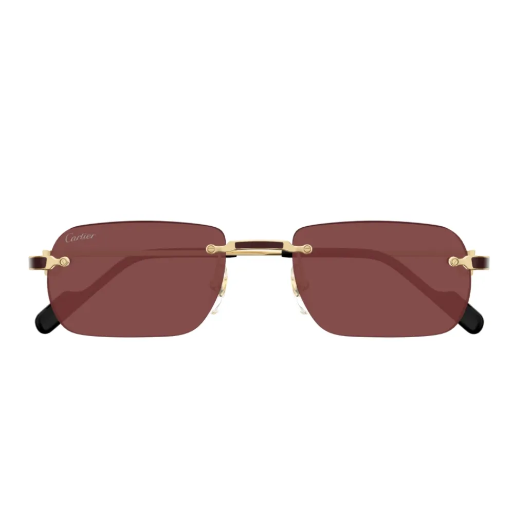 Heren Cartier CT0498S 002 Sunglasses