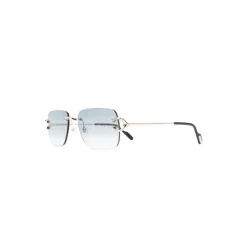 Heren Cartier Zonnebrillen^CT0330S 008 Sunglasses