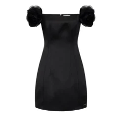 DAMES Elisabetta Franchi Jurken^Duchesse Jurk