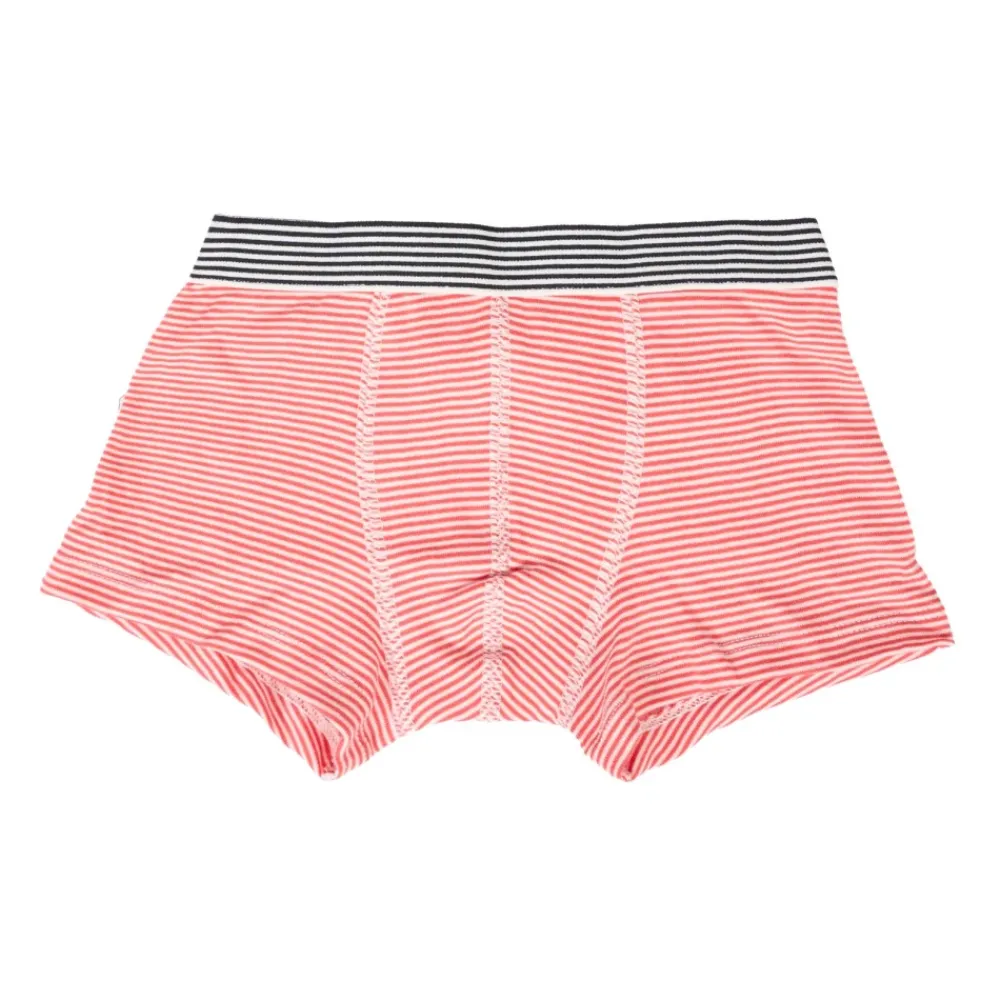 Petit Bateau Gestreepte en Walvisprint Boxershorts