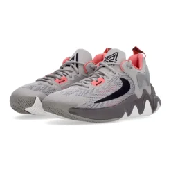 Nike Giannis Immortality 2 Basketbalschoen