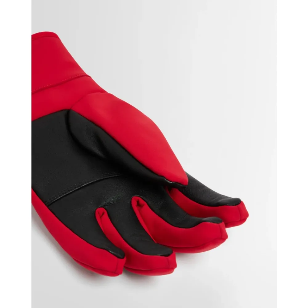 Heren Fusalp Handschoenen^Glacier M Ski Handschoenen