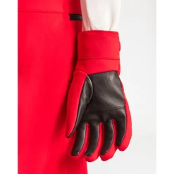 Heren Fusalp Handschoenen^Glacier M Ski Handschoenen