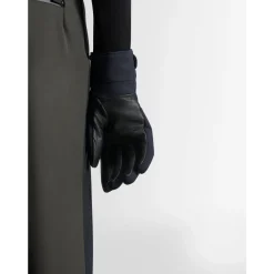 Heren Fusalp Handschoenen^Glacier M Ski Handschoenen