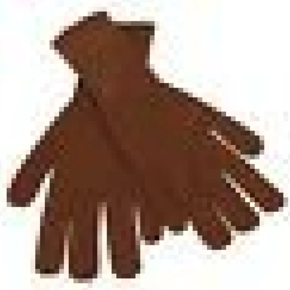 Heren Dolce & Gabbana Handschoenen^Gloves