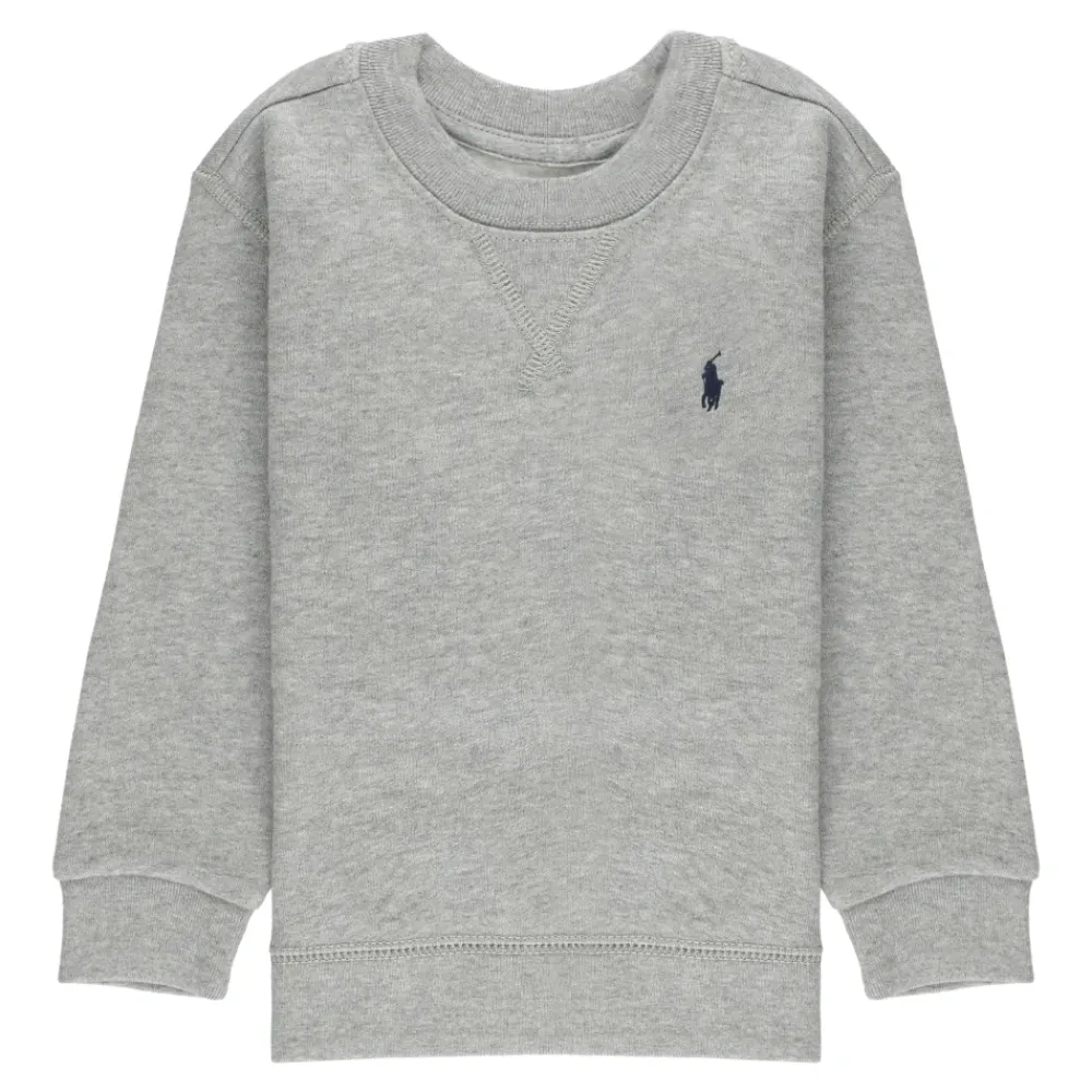 Ralph Lauren Grijze Sweaters