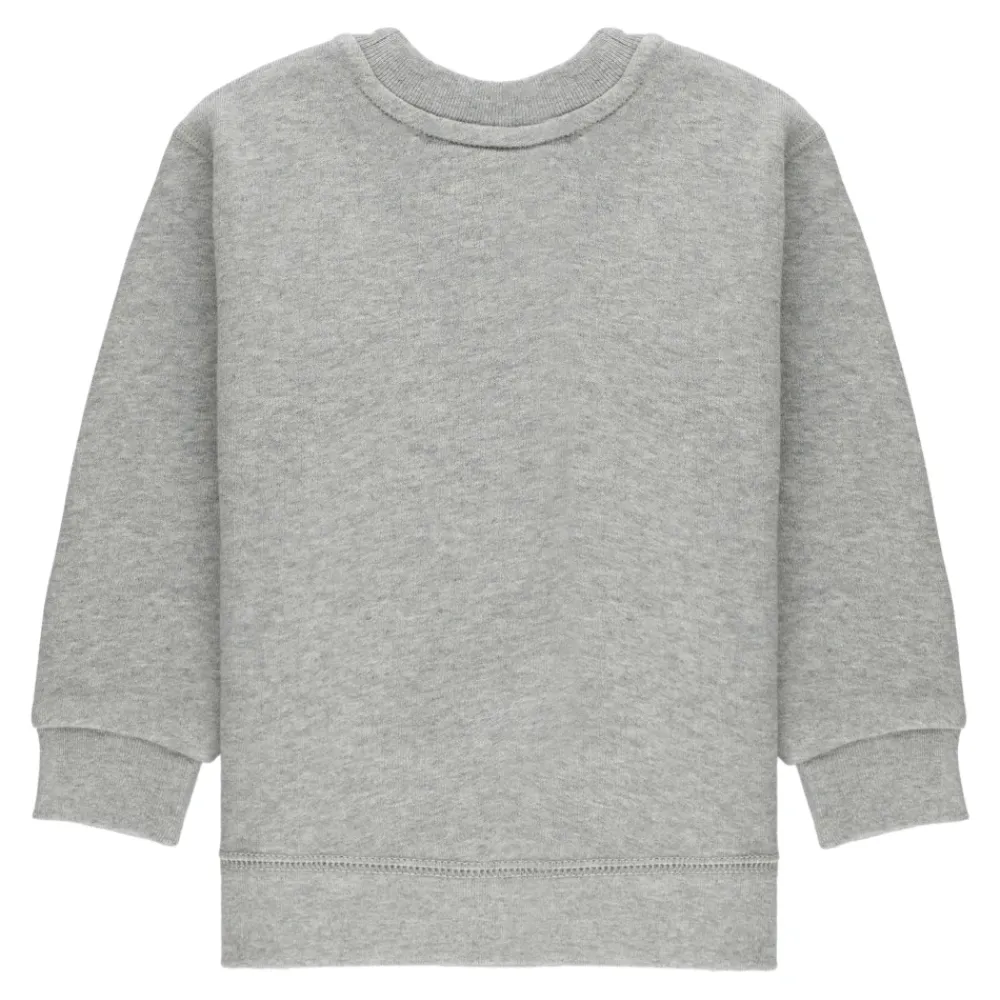 Ralph Lauren Grijze Sweaters