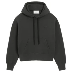 Heren Ami Paris Truien & Vesten^Hoodie Big ADC