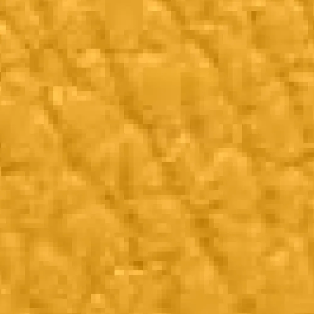 DAMES Coccinelle Klassieke leren etui