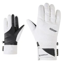 Ziener Wintersport^KLENN-Z GTX PR Handschoen