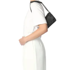 DAMES Jérôme Dreyfuss Lulu S Bag