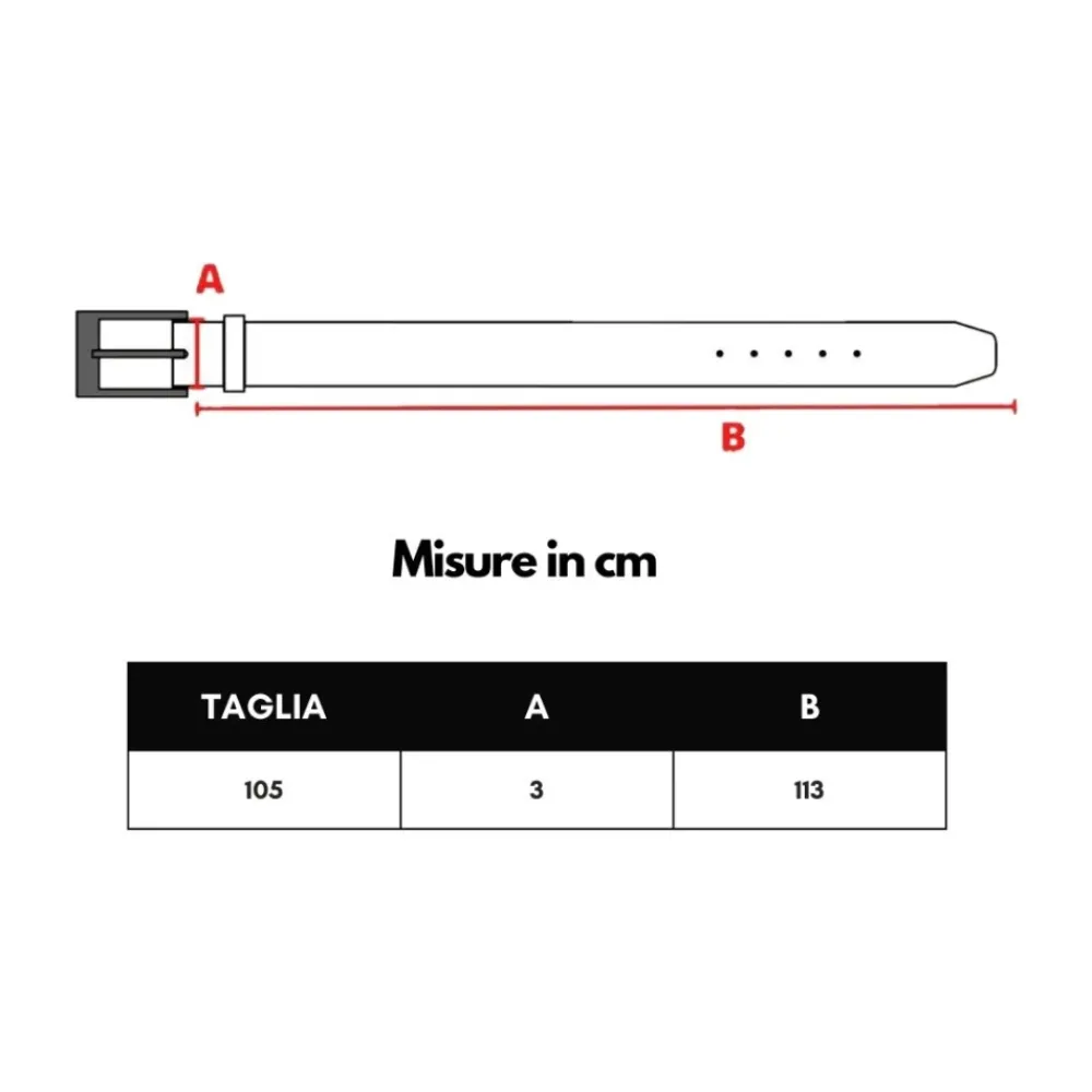 Heren Bottega Veneta Riemen^Omkeerbare Leren Riem Blauw/