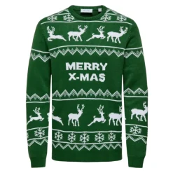 Heren ONLY & SONS Truien & Vesten^ONSXMAS Pullover