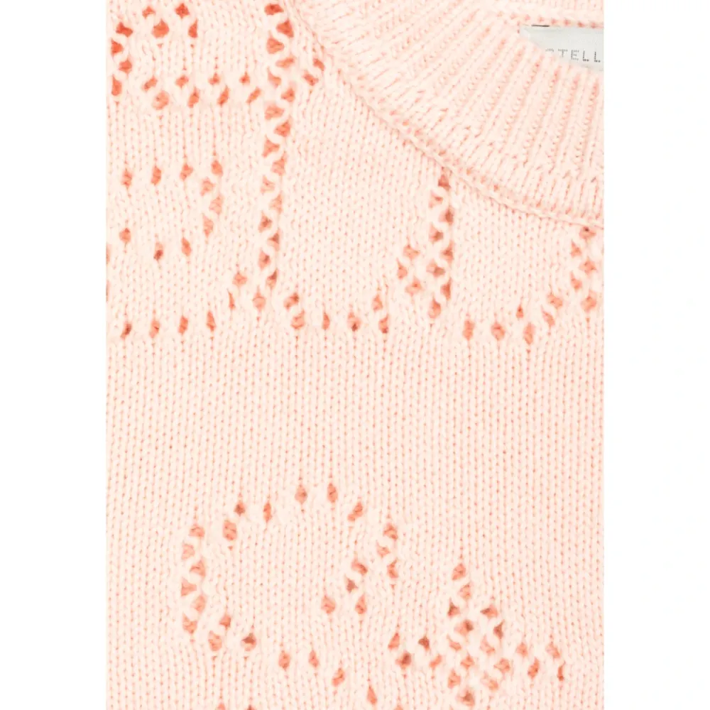 Stella McCartney Opengebreide Trui