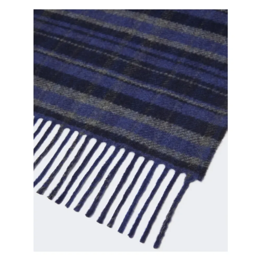 DAMES Weekend Max Mara Sjaals^Pagella Scarf