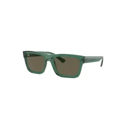 Heren Ray-Ban RB4396 66813 Sunglasses