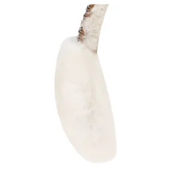 UGG Shearling Oorkappen