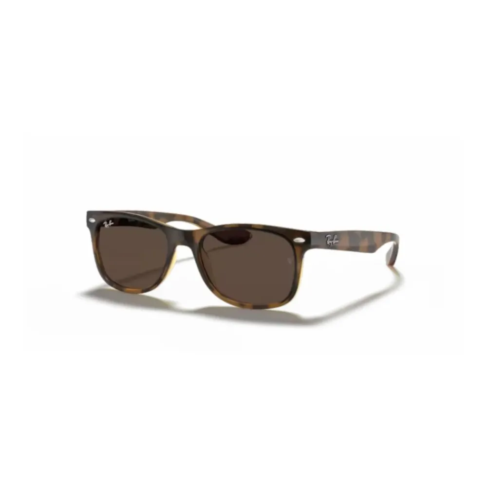 Heren Ray-Ban Sole Zonnebril