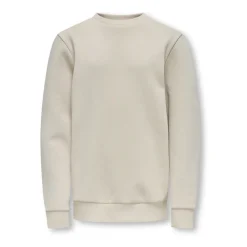 ONLY & SONS Bovenkleding^Zilveren Voering Crew Neck Sweatshirt