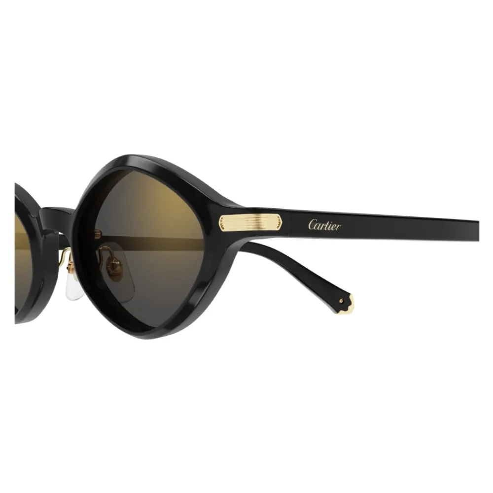 Heren Cartier Zonnebrillen^Zonnebril
